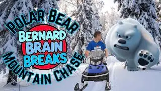 POLAR BEAR MOUNTAIN CHASE | Educational Brain Break Activity for Kids