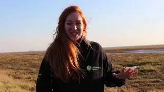The Humber estuary Outstrays to Skeffling managed realignment scheme