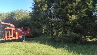 Brush bandit 200xp chipping brush! Great chipper for trim work!