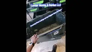 Harvesting Worm Castings and Worm Bin Reset
