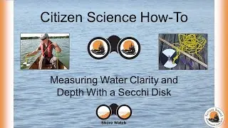 How to record Secchi depth &ndash; Shore Watch