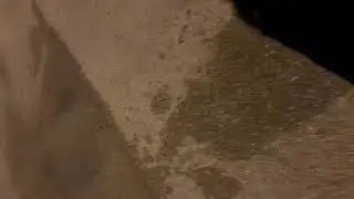 Video of rest stop off 75, FL from PJ R.