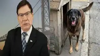 Luiz Carlos Prates - JUSTI&Ccedil;A POR ORELHA!