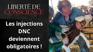 Décryptage des documents de vaccination obligatoire #agriculteurs #éleveurs #solidarité