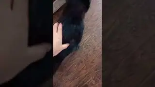 What the fuck💀
