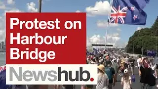 Anti-mandate protesters march across Auckland Harbour Bridge causing traffic chaos | Newshub