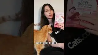 Can Cats Drink Goat's Milk? #shorts