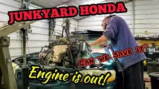 JUNKYARD HONDA ACCORD | Engine Pulled