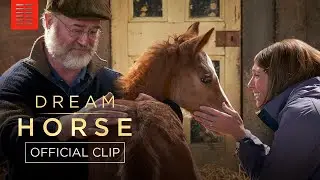 DREAM HORSE | You've Got a Name | Bleecker Street