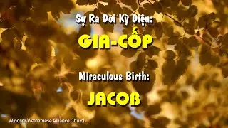 WVAC Sunday 11.09.2025