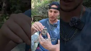 Destined Rivals opening at Switzer Falls!  #pokemon #pokemoncards #nature #fyp #fypシ  #fypシ゚viral