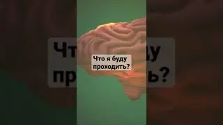 Psychonauts 2 начало пути и нового безумия. #shorts #psychonauts #psychonauts 2.