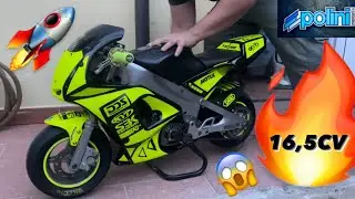 Minimoto polini