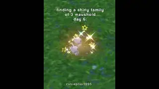 Finding a shiny family of 3 maushold day 6: #pokemon #shinypokemon #shinymaushold