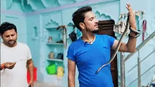 Big size Indian Rat snake rescue 😯🐍#snakevideo #wildliferescue #amitbhai#shorts