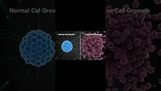 Cancer Cell Growth vs Normal Cell Growth 3d animation