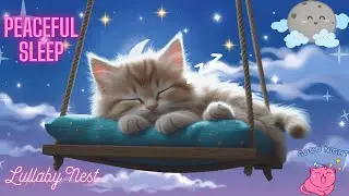 Baby Sleep Music 😴 Cute Cat Sleeping on Screen | Soothing Lullabies for Deep Sleep