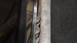 Door gap cement mortar filling process- Good tools and machinery can increase work efficiency