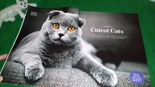 ASMR Slow magazine  page turning