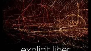 My favorite (protest) things / Explicit liber