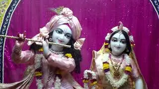 Mangal Arati @ISKCON NVCC 11 Nov 2021