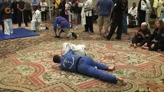 Jui-Jitsu Seminar WHFSC Event 2014, Part 6