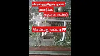 மலிவு விலை  முயல் கூண்டு | Low cost Rabbit Cage easily at home