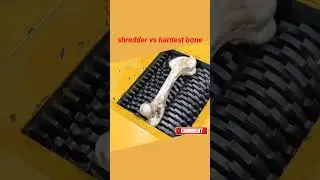 shredder vs hardest bone. who will win. #youtubeshorts #shortvideo #trending #shorts