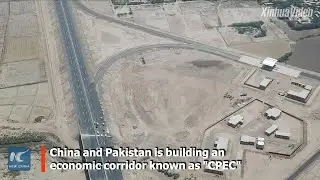 BRI projects bring light and warmth: Pakistani surgeon