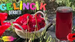 ГЕЛИНЦИК ЩЕРБЕТ / Как записаться
