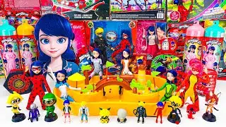 Miraculous Ladybug Toys Collection ASMR Unboxing Review | Mystery Cat Noir & Ladybug Surprise Boxes