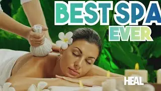 Unveiling the Magic of Seventh Wonder Holistic Spa: Real Stories & Reviews