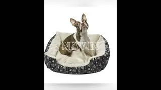 New Arrival!  Printed Orthopedic Pet Bed Bolster for Dogs and Cats