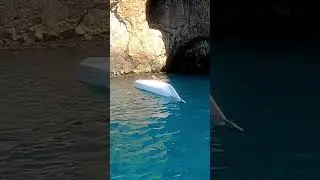 Butterfly roll
