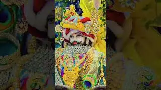 Jai shree shyam baba &hearts;️🙏&hearts;️ Basant Panchami #reels #khatuwalashyam #today #trending #love #video 🙏🙏