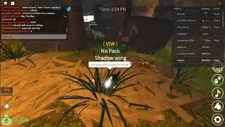 wolves life 3 music video? the adventures of shadow wing season 1 episode 1