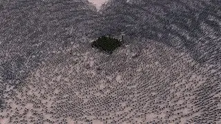 300 HULK vs 20.000 ZOMBIE COPS - Ultimate Epic Battle Simulator