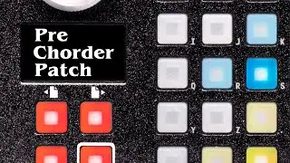 PreChorder | Empress ZOIA Patch - ¡Crea acordes con un solo botón!
