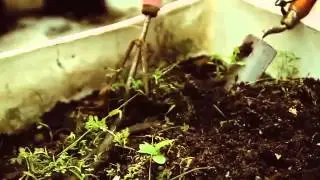 Cultura Profética-La Espera