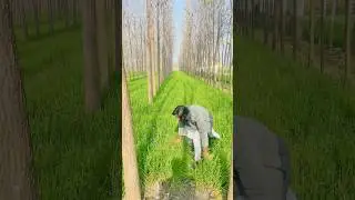 Tum jake views check karo  🥰🥰            #comedy#viral#views#yt#trending#funny#7starinside#shorts