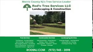 Tree Removal Morris County New Jersey