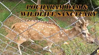 POCHARAM DAM & WILDLIFE SANCTUARY