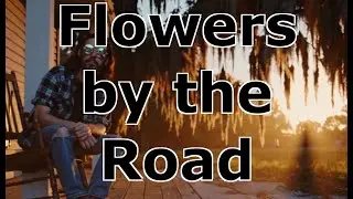 Flowers by the Road - Kronus_One