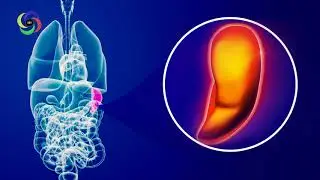 Spleen Healing Sound, Binaural Beat Frequency for a Healthy Spleen, Binaural Beats Isochronic Tone