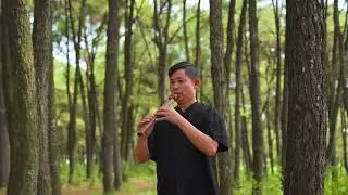 The Forest&rsquo;s Breath | Native American Flute Healing Session #4
