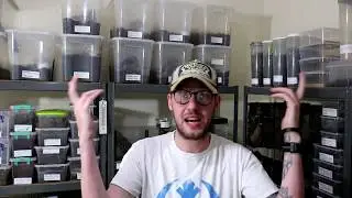 Addressing the reason why I left the Tarantula YouTube community