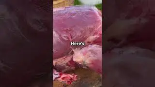 The Secret to Profitable Broiler Farming #subscribe#broilerchicken #broilerchicken #broilerfarming