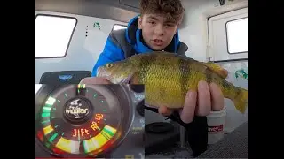 Perch Feeding Frenzy on Last Mountain Lake