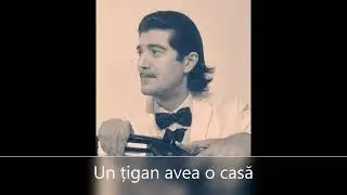 Un țigan avea o casă