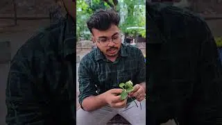 সচূড়পক্ষল যৌগিক পত্র।||গর্ভকটি পুষ্প(perigynous) কি?